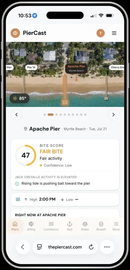 PierCast Plaqrd experience preview